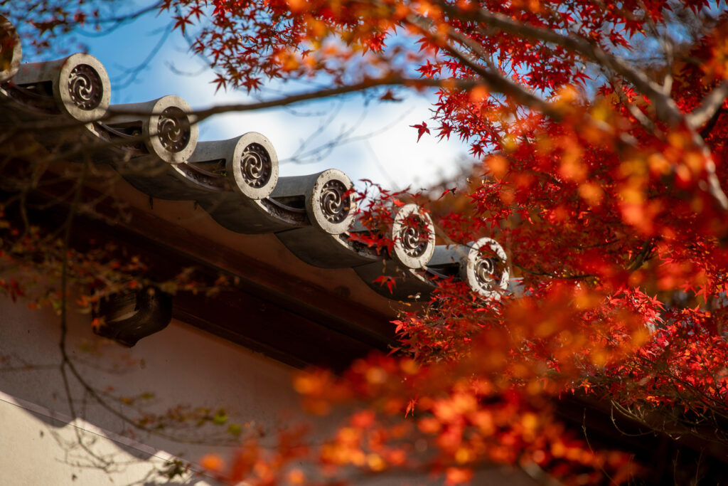 京都